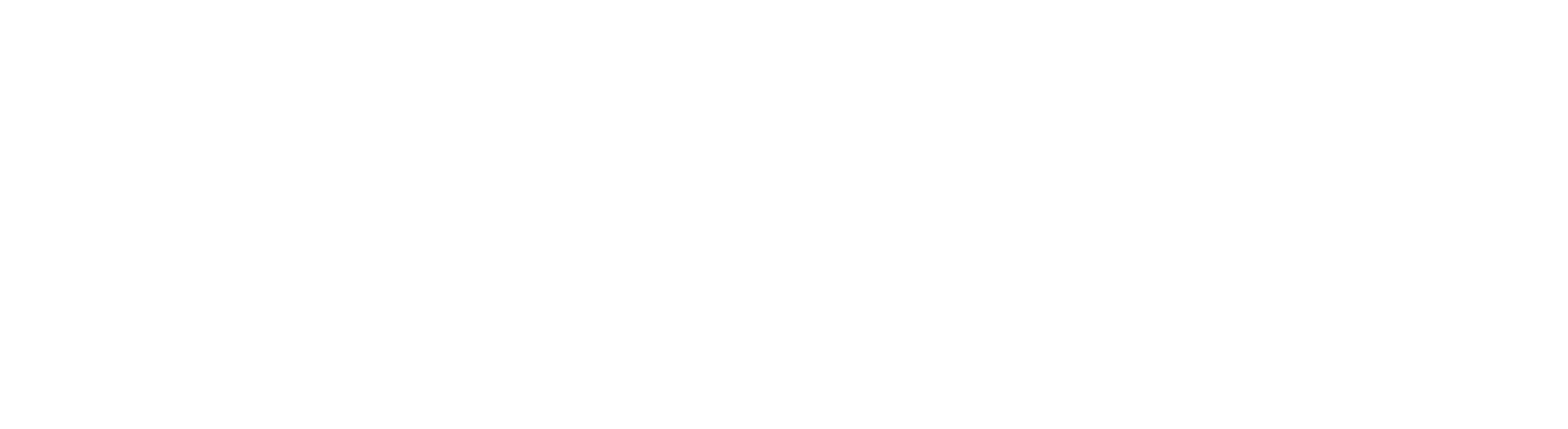 SMB Logo